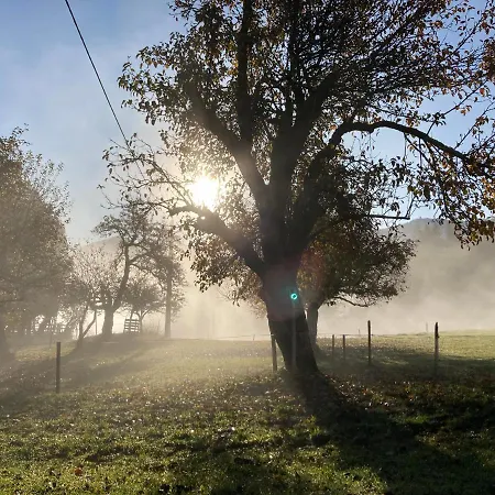 ファームステイ Haslehnerhof ラムサウ・アム・ダッハシュタイン