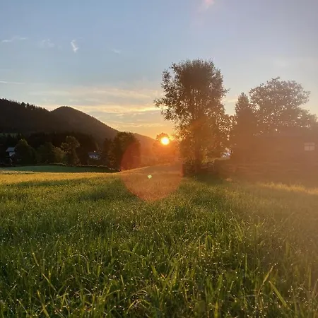 Haslehnerhof * Ramsau am Dachstein