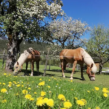 Haslehnerhof Farm stay *