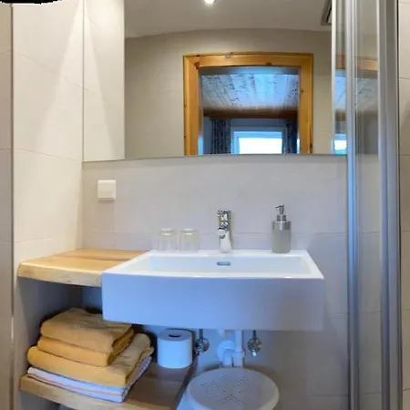 Haslehnerhof ラムサウ・アム・ダッハシュタイン