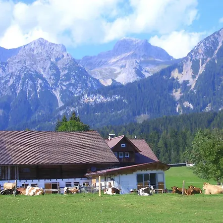 Farm stay Haslehnerhof *