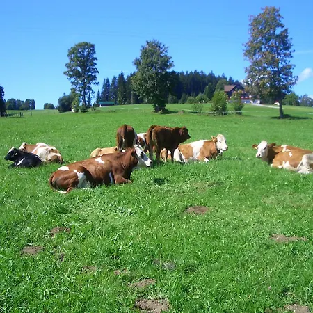 ファームステイ Haslehnerhof ラムサウ・アム・ダッハシュタイン
