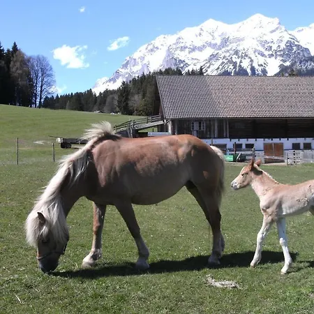 ファームステイ Haslehnerhof