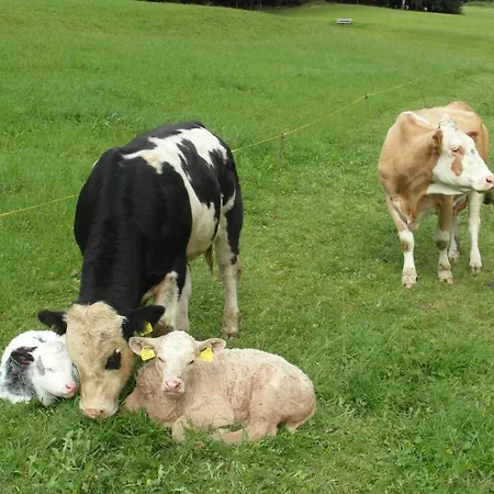 ファームステイ Haslehnerhof ラムサウ・アム・ダッハシュタイン