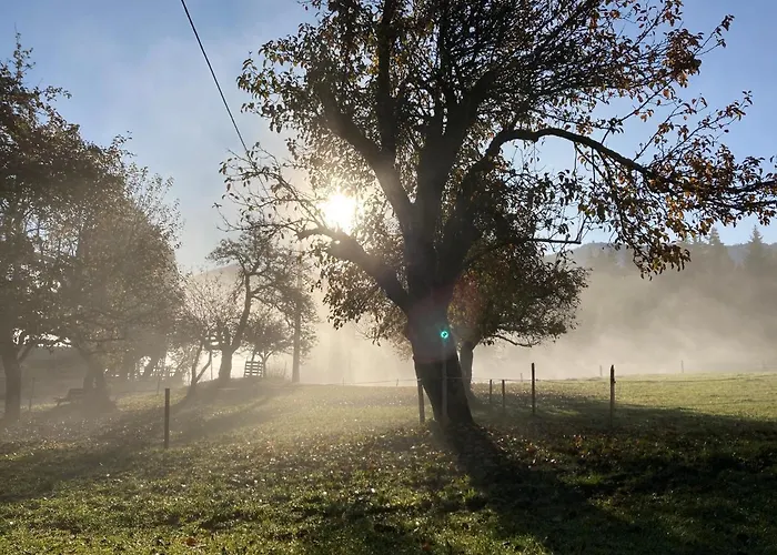 Farmház Haslehnerhof Ramsau am Dachstein