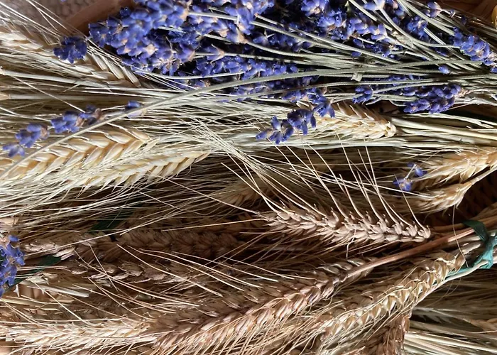 Haslehnerhof 팜스테이 람자우 암 다흐스타인