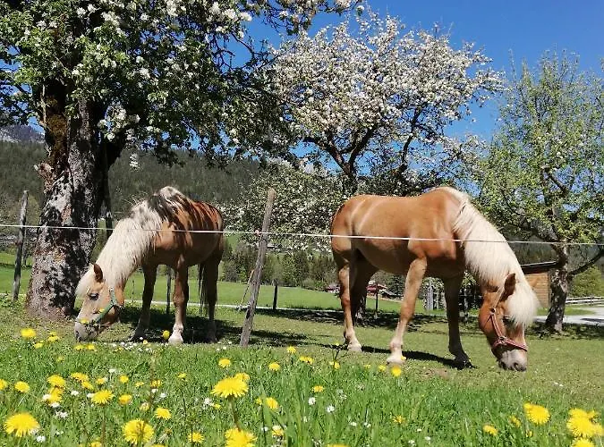 Haslehnerhof Farmház *