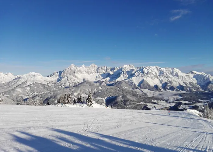 팜스테이 Haslehnerhof *