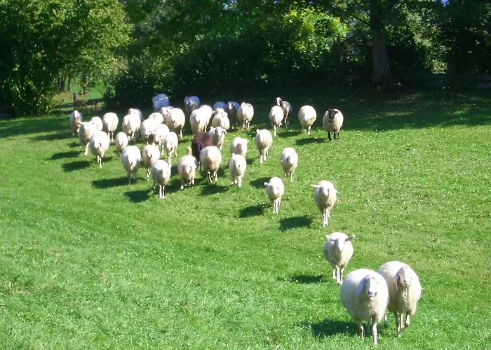 Haslehnerhof 람자우 암 다흐스타인
