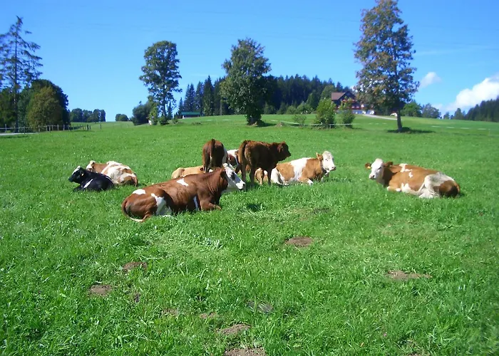 Farmház Haslehnerhof Ramsau am Dachstein