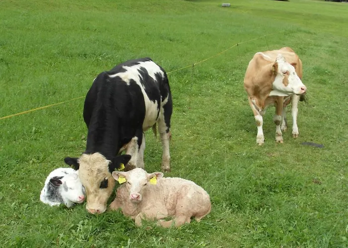 Farmház Haslehnerhof Ramsau am Dachstein